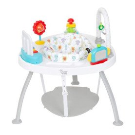 Bounce N' Play Activity Center