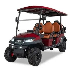 6 Passenger Golf Cart Rental in Hilton Head Island (Delivery Included)